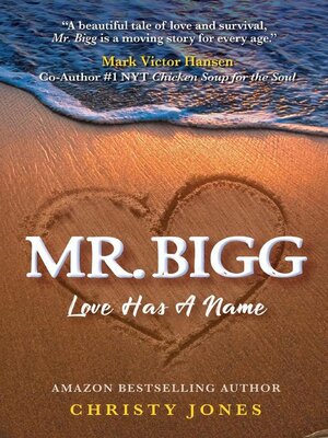 cover image of MR. BIGG